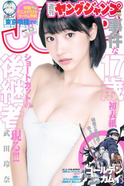 割舍非木非石
