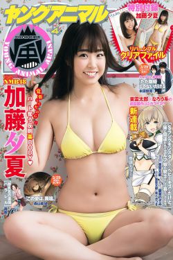 B级文件
